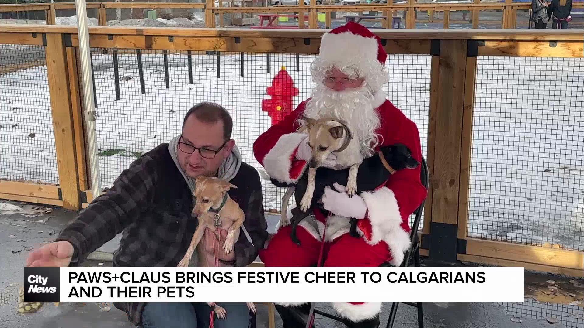 Paws + Claus brings festive cheer to Calgarians and their pets