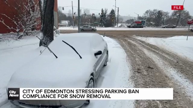 Edmonton stressing parking ban compliance for snow removal