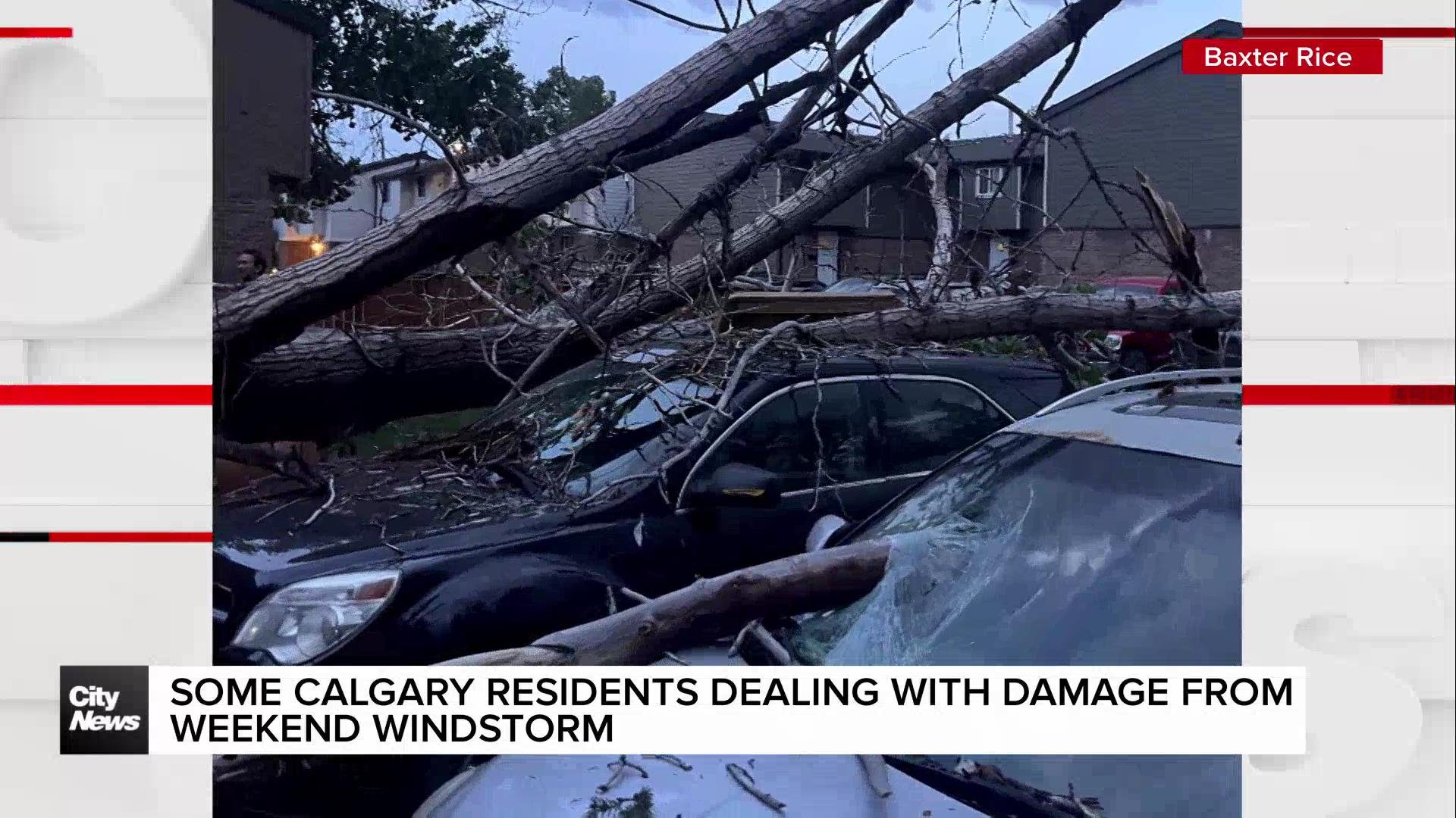 Some Calgary residents dealing with damage from weekend windstorm