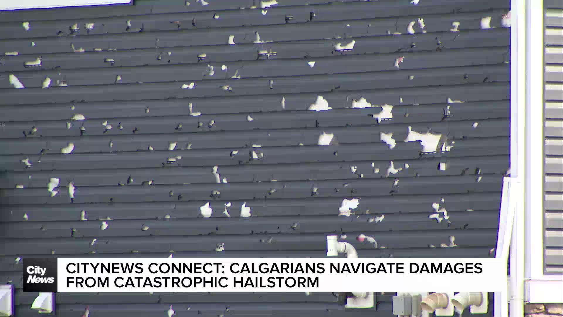 CityNews Connect: Calgarians navigate damage from catastrophic hailstorm