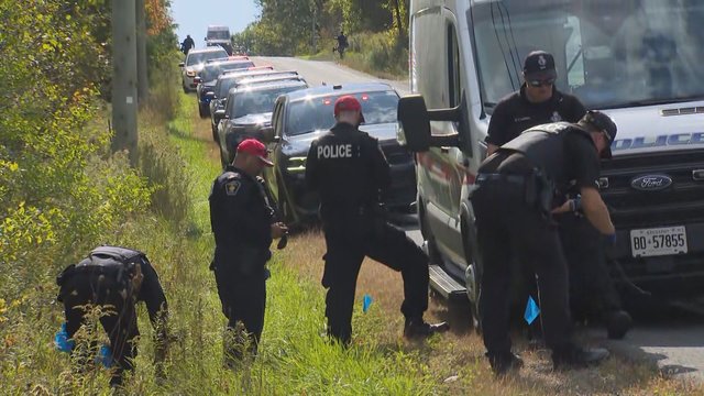 YRP identify white van linked to hit-&-run that killed 60-year-old woman