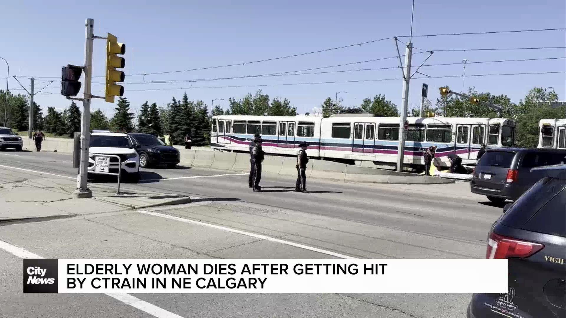 Woman dead after being hit by CTrain in NE Calgary