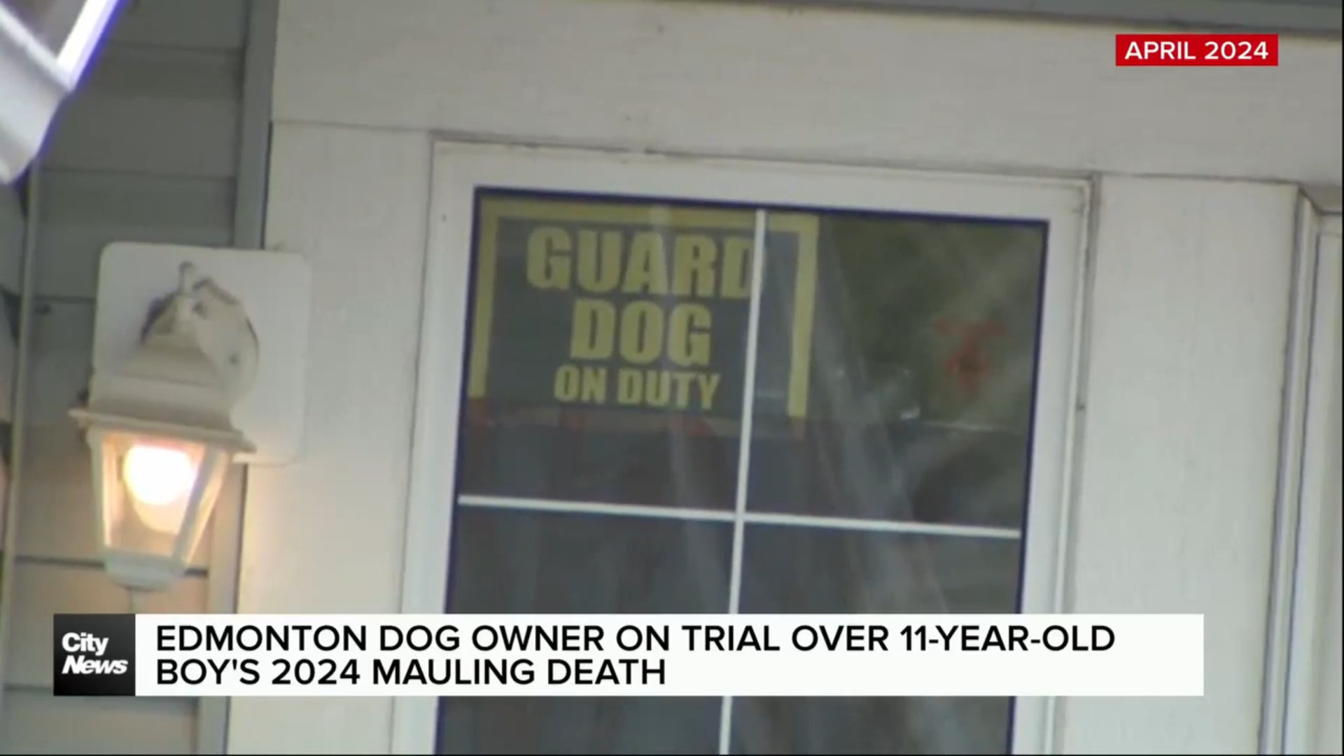 Edmonton dog owner on trial over 11-year-old boy’s 2024 mauling death