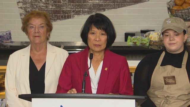 Ford must protect cyclists, Chow urges as bike lanes are removed