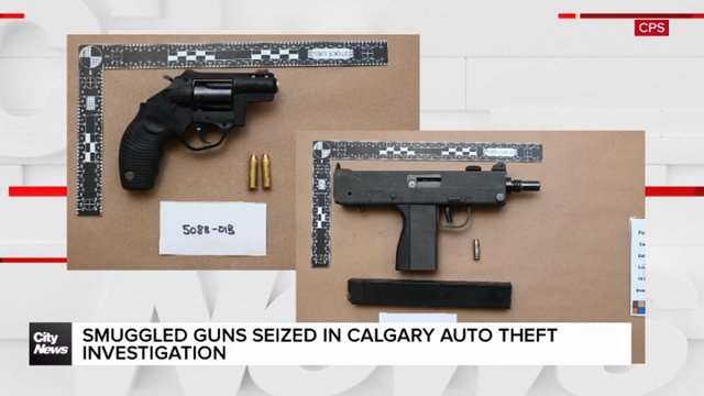 Smuggled guns seized in Calgary auto theft investigation