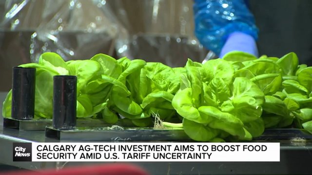 Calgary ag-tech investment aims to boost food security amid U.S. tariff uncertainty