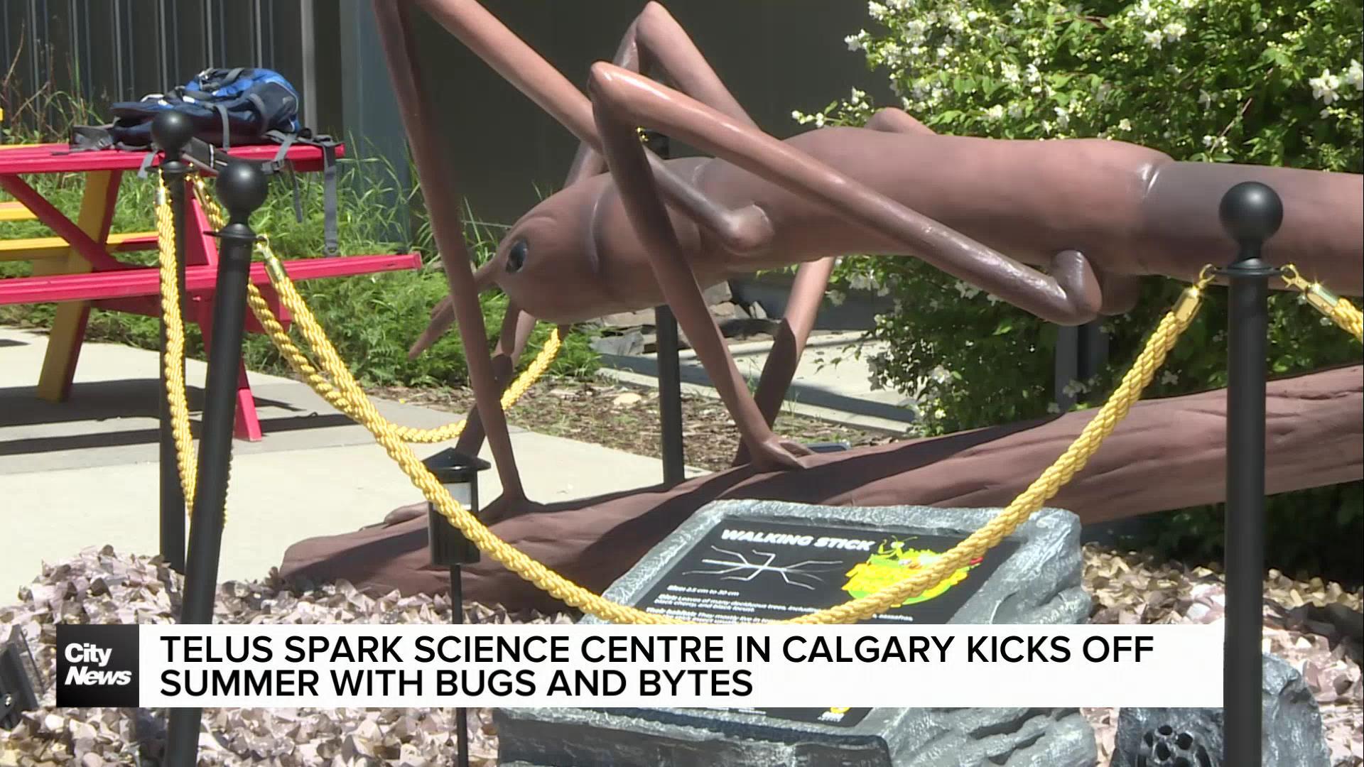 Telus Spark Science Centre in Calgary kicks off summer with Bugs and Bytes