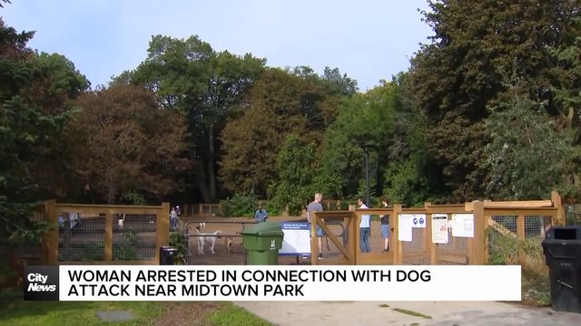 Woman arrested in connection with dog attack near midtown park