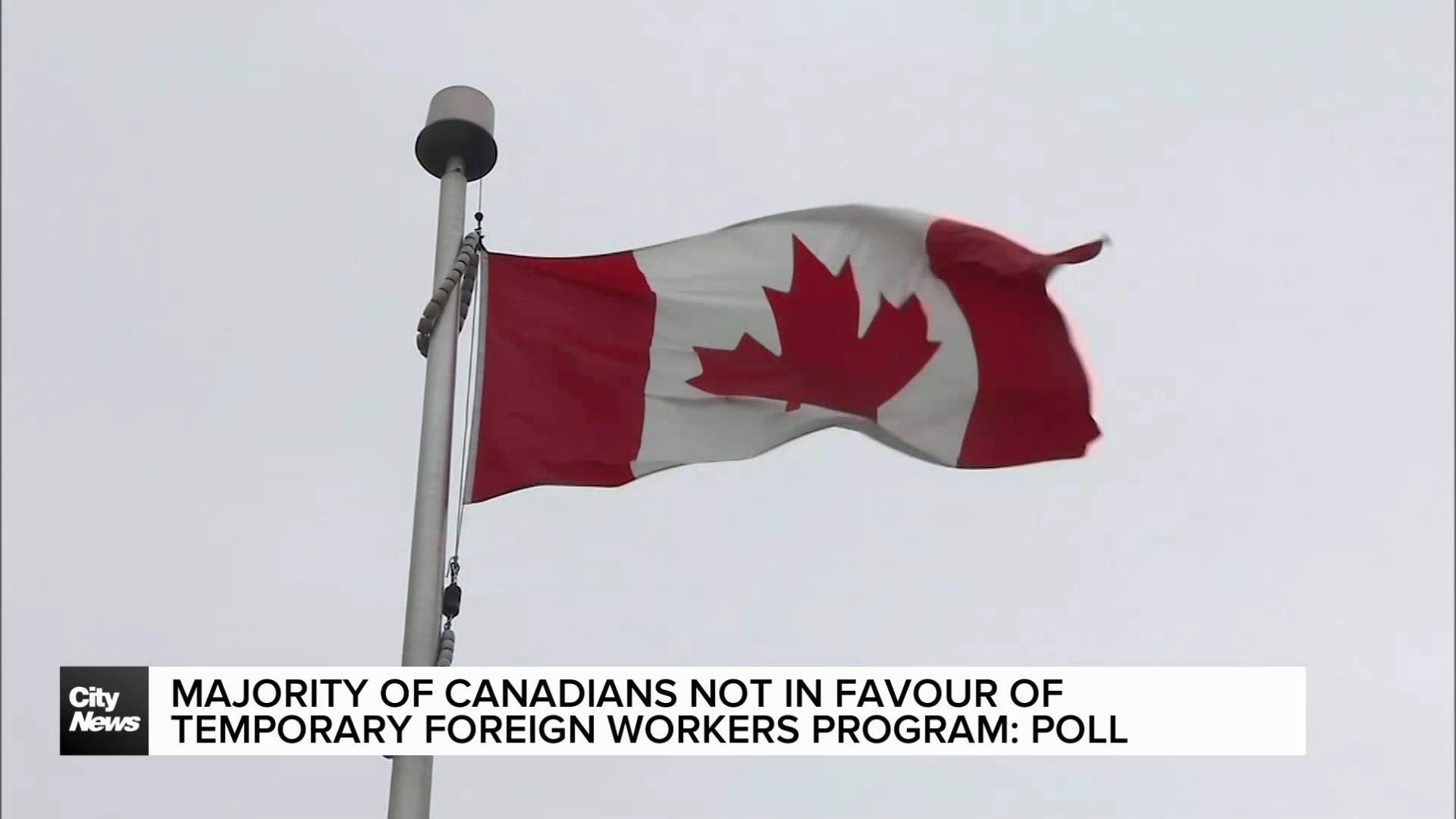 Majority of Canadians not in favour of Temporary Foreign Worker Program : Poll