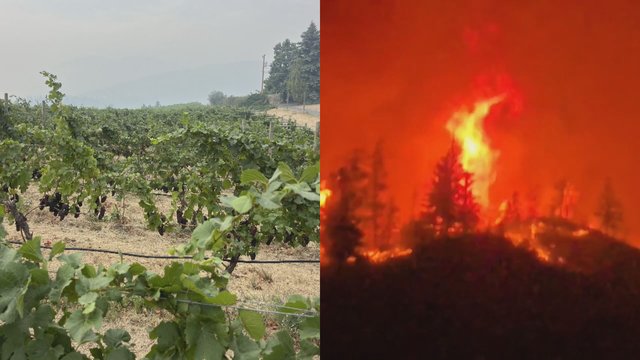 Bald Range Wildfire causing heavy financial toll for local businesses