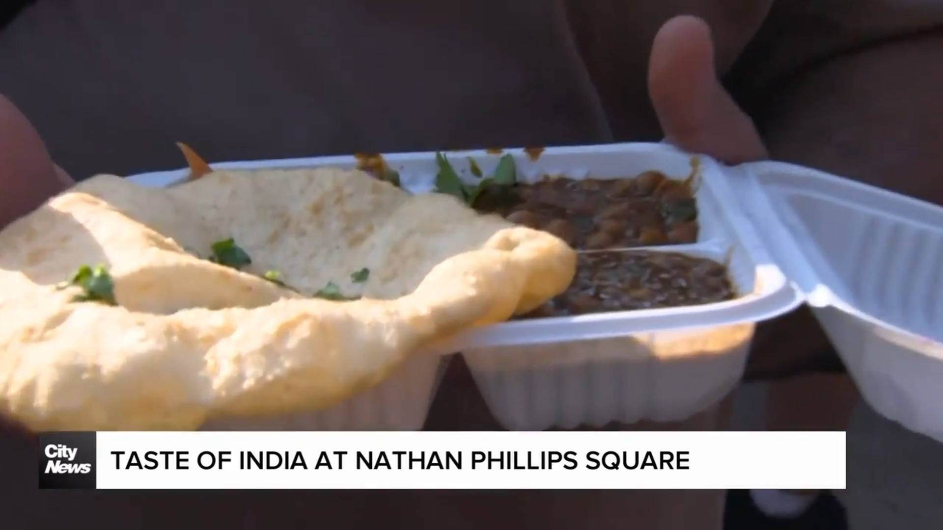 Taste of India at Nathan Phillips Square
