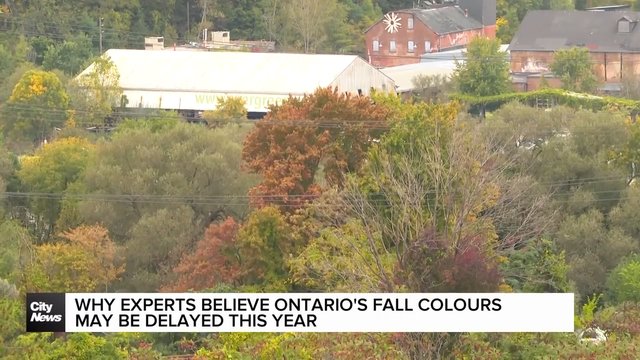 Warm weather delaying peek fall colours