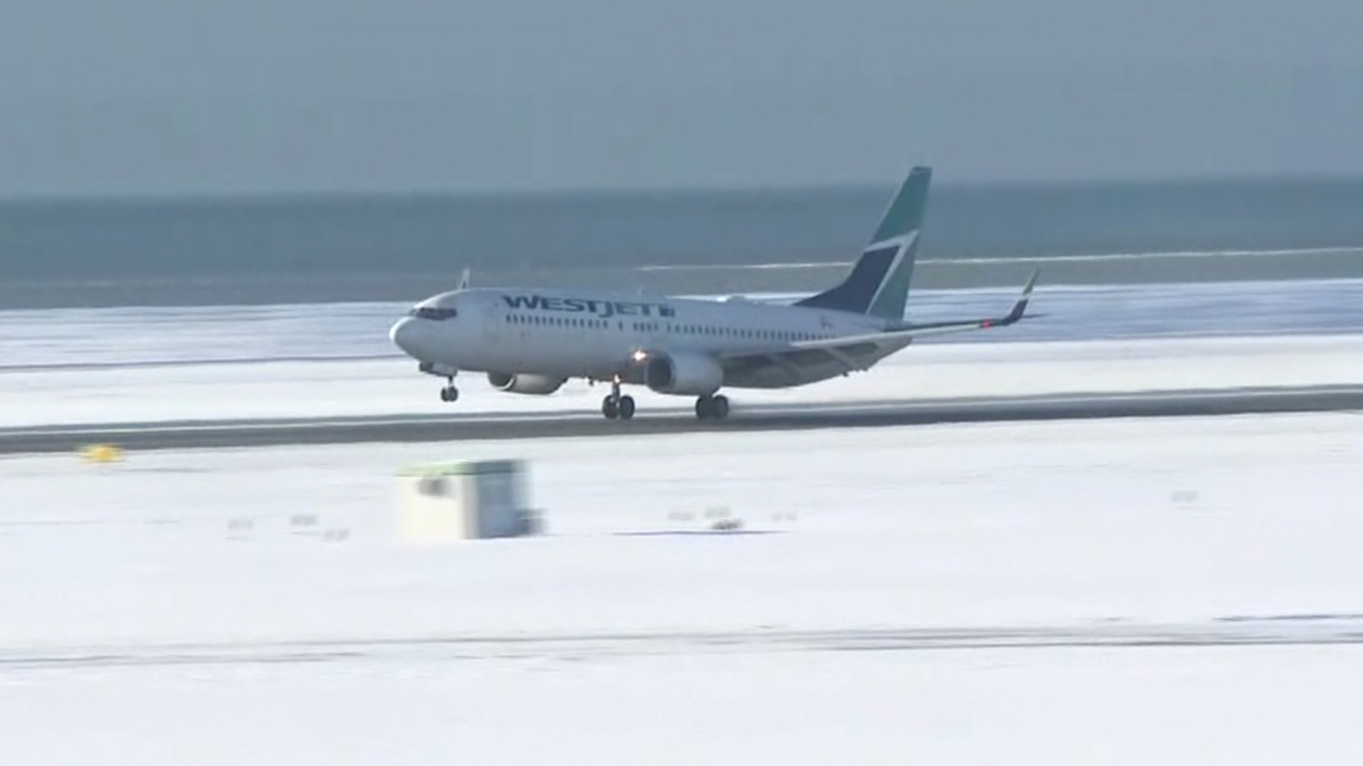 Cancelled WestJet flights leave flyers stranded CityNews Calgary