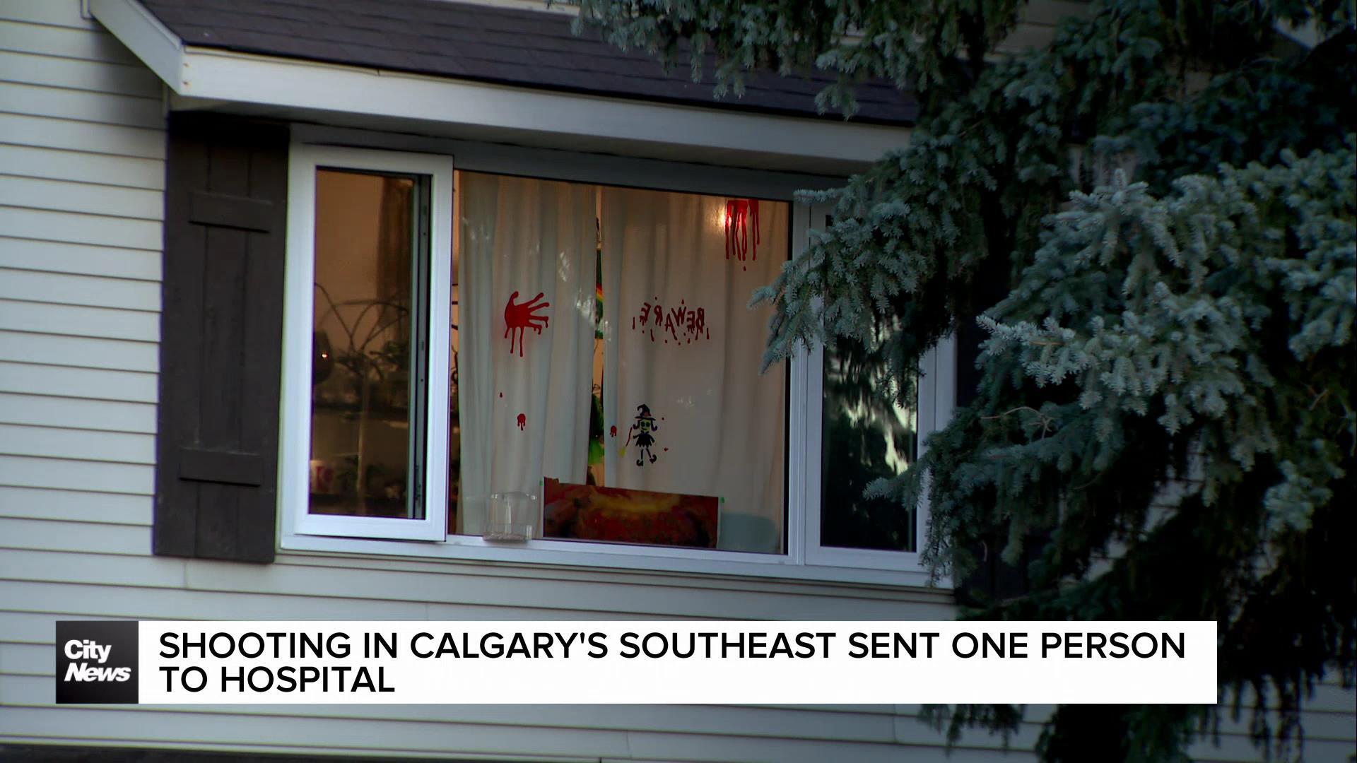 Shooting in Calgary's southeast sends one person to hospital