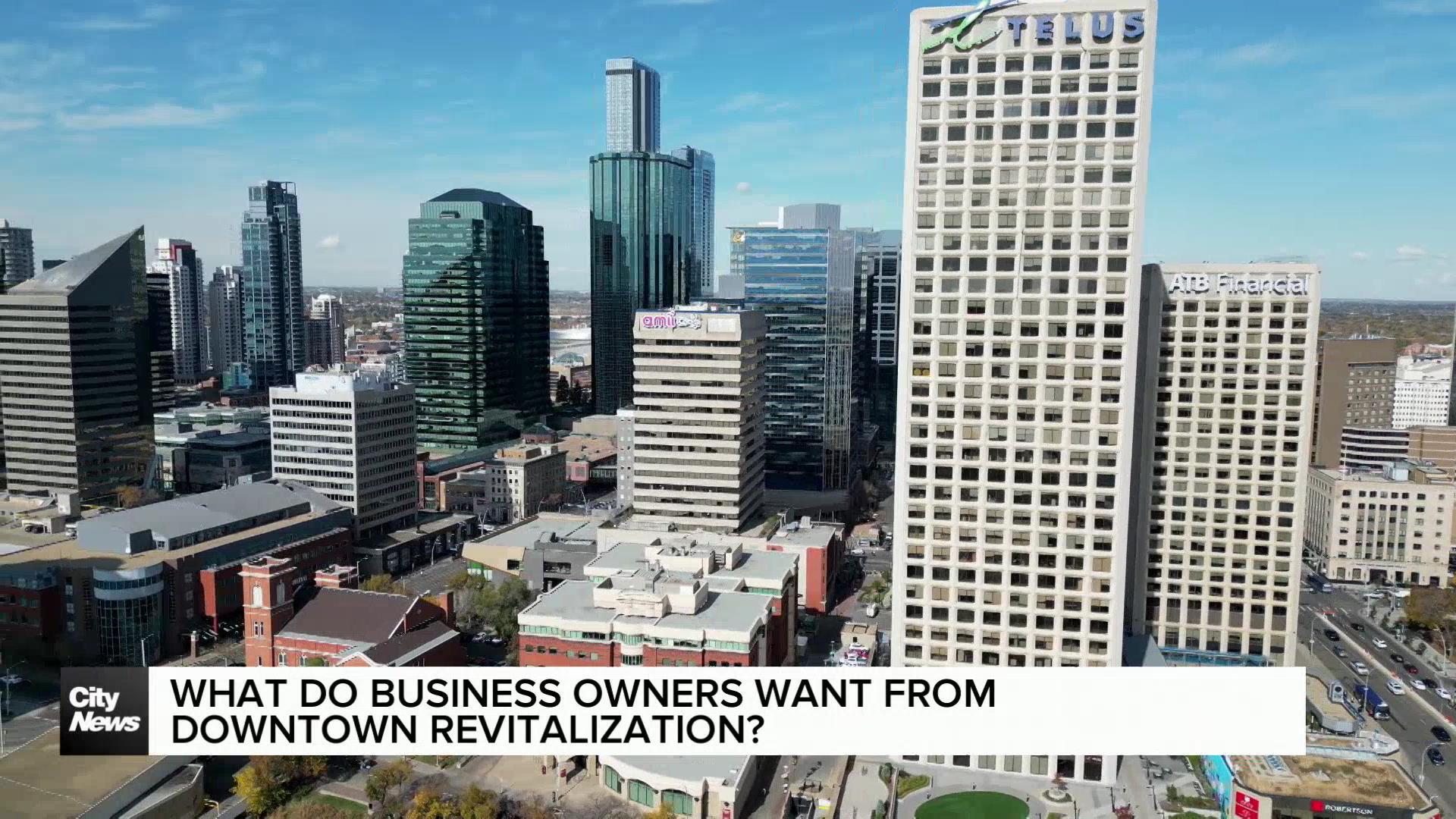 What do business owners want from downtown revitalization?