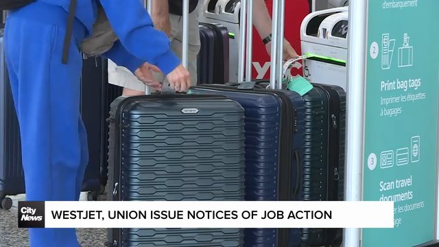Calgarians react to potential WestJet labour disruption
