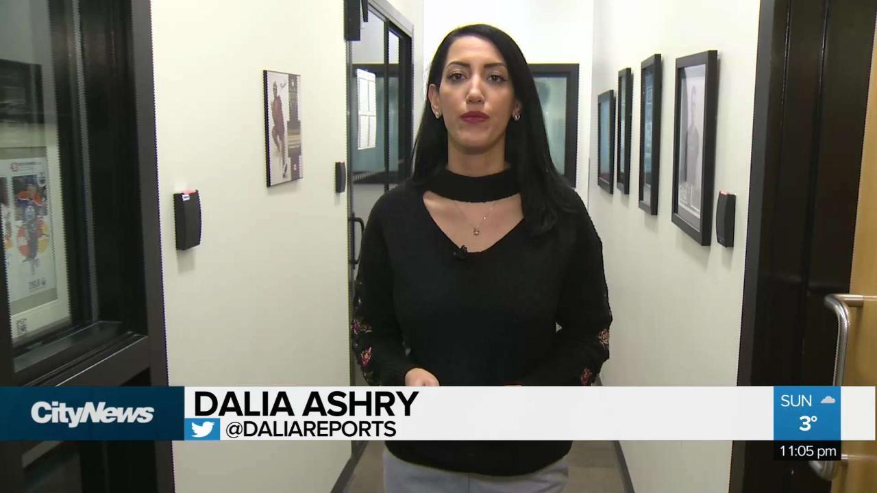 Dalia Ashry - Reporter