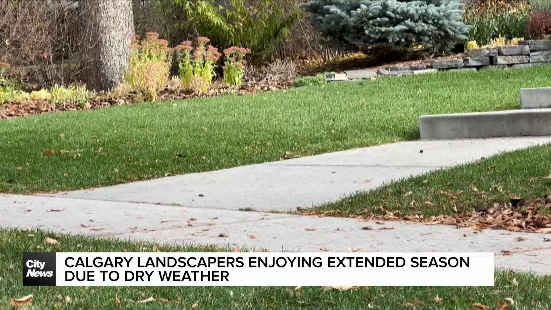 Calgary landscapers enjoying extended season due to dry weather