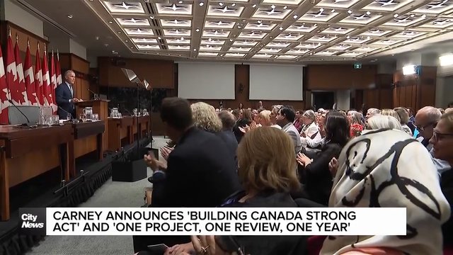 Carney commits to 'one project, one review, one year'