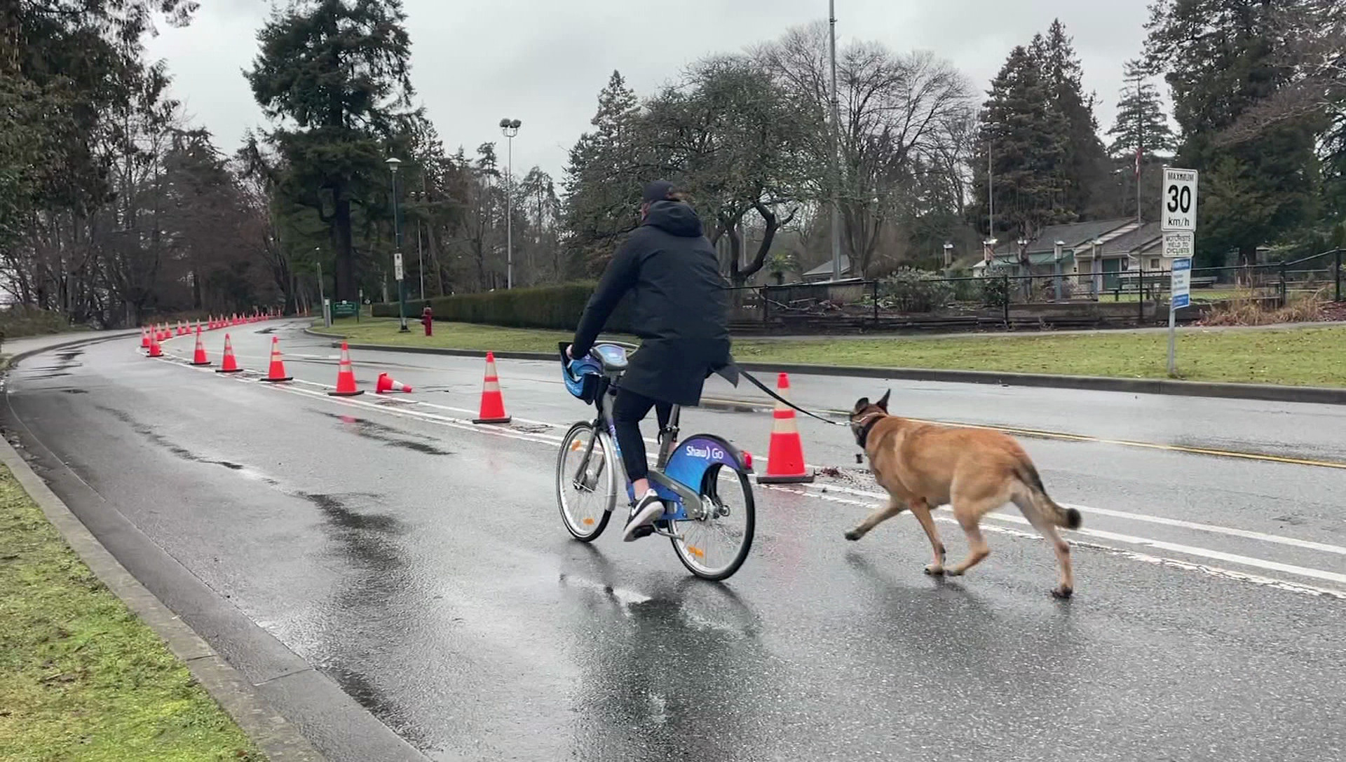 Shaw bikes 2024 stanley park