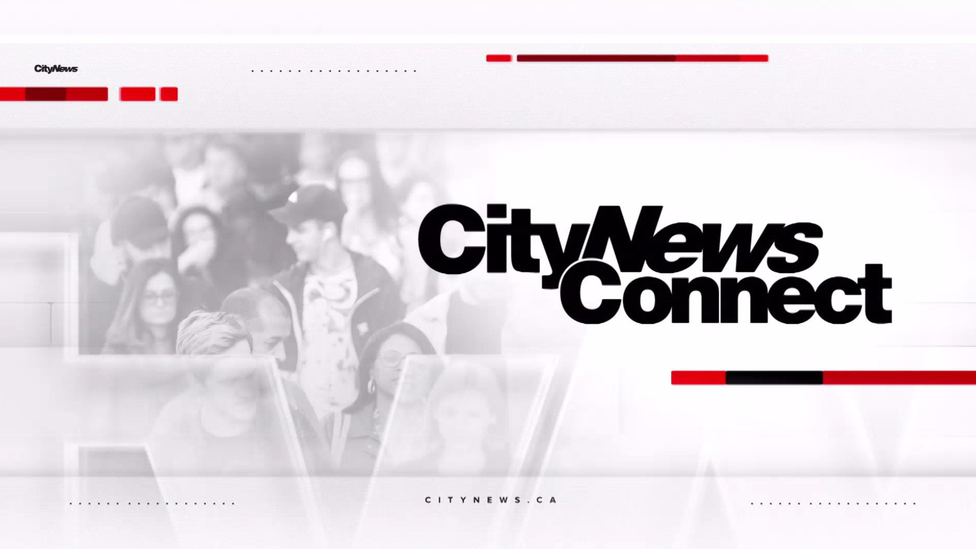 Broken Bail: A CityNews Connect special looks at the current state of the justice system