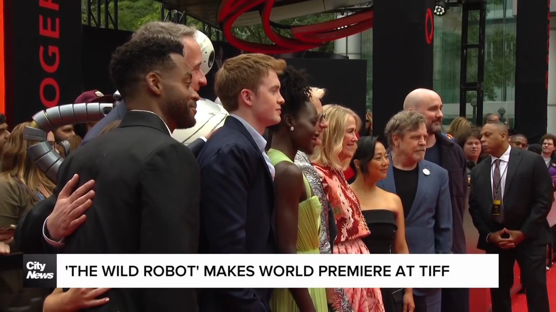 Lupita Nyong'o, Mark Hamill discuss 'The Wild Robot'