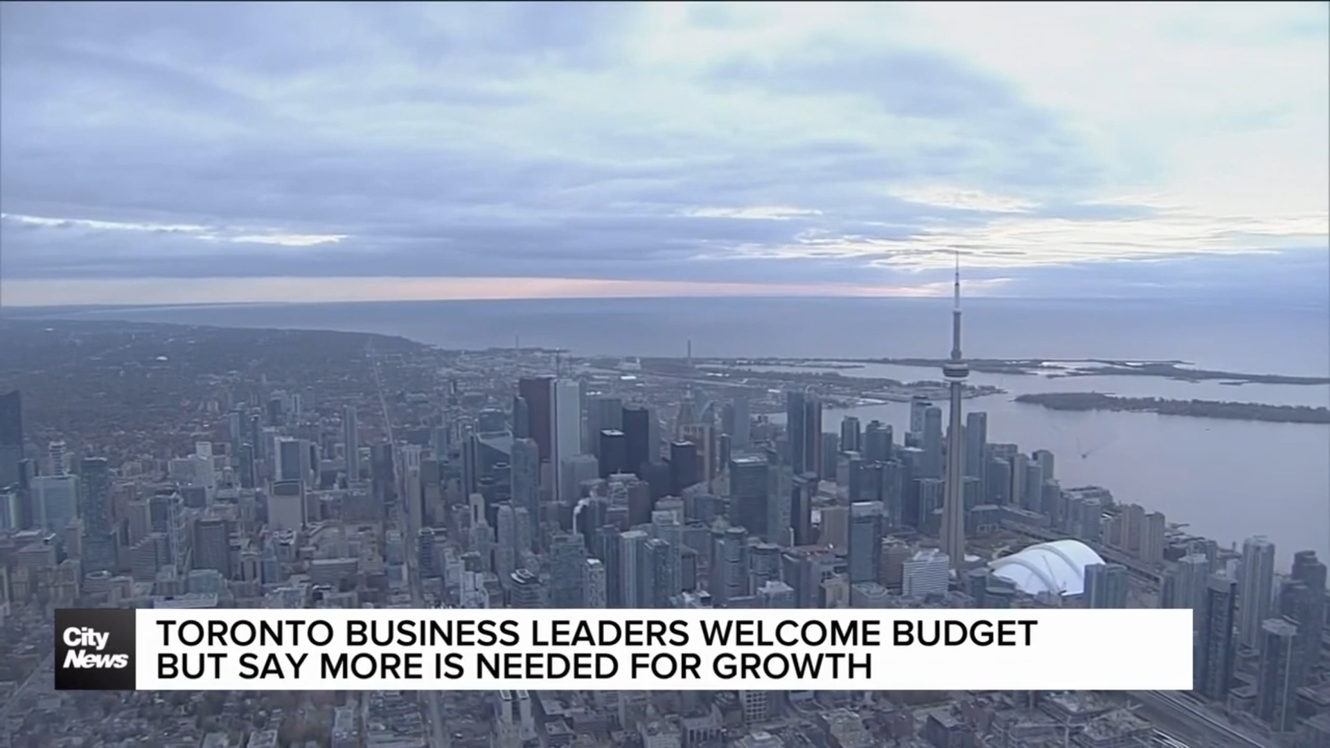 Toronto business leaders react to federal budget