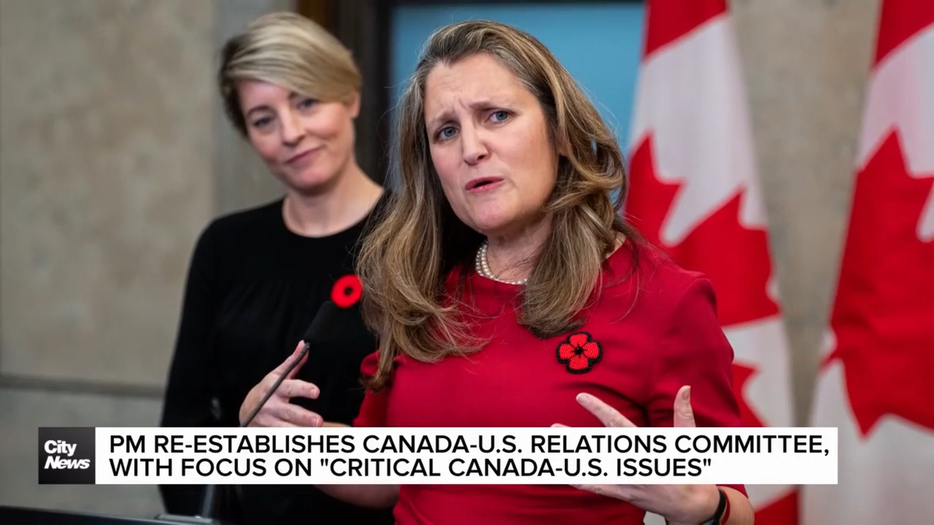 Canada re-assembles US relations committee