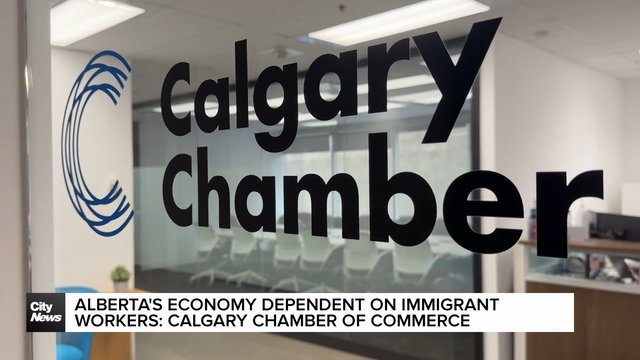Alberta’s economy dependent on immigrant workers: Calgary Chamber of Commerce
