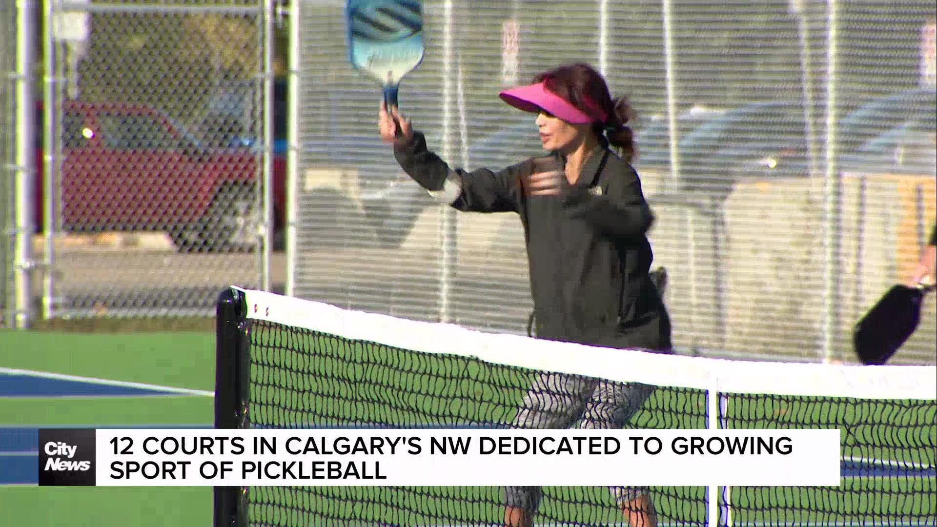 Calgary opens 12 new pickleball courts