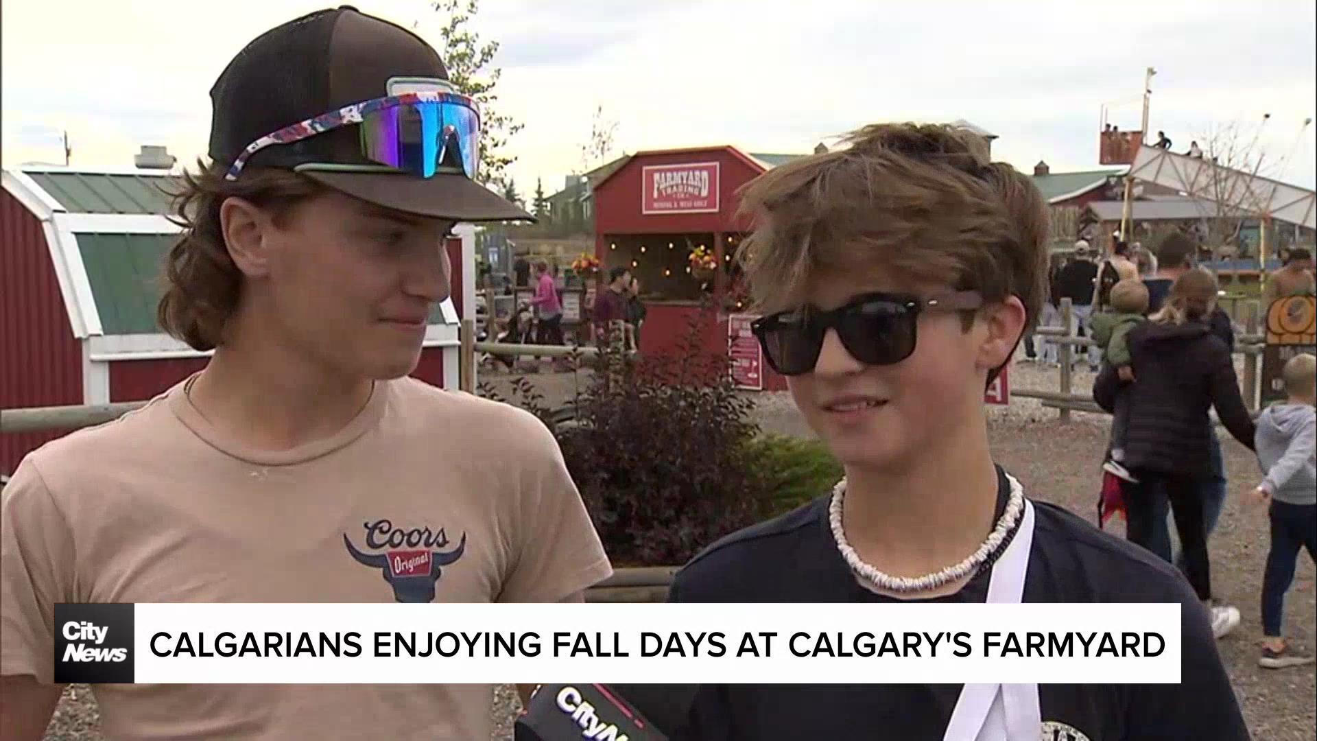 Calgarians enjoying Fall Days at Calgary’s Farmyard