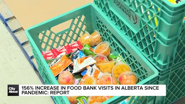 Food bank visits increased 156% in Alberta since the pandemic, report shows