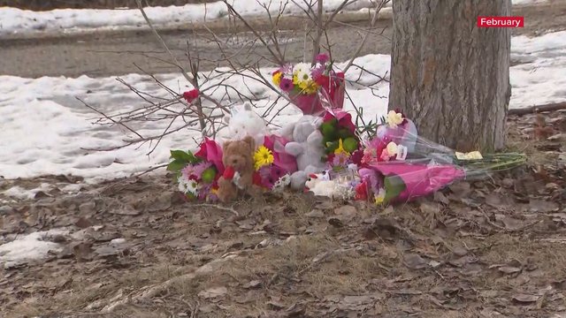 Tumbler Ridge: Court documents reveal new details on mass shooting