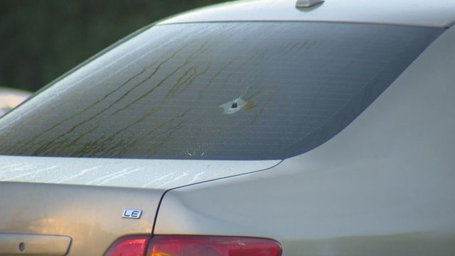 Overnight shooting investigated in north Etobicoke