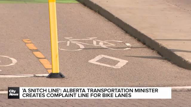 ‘A snitch line’: Edmonton cyclists react to provincial bike lane complaint line