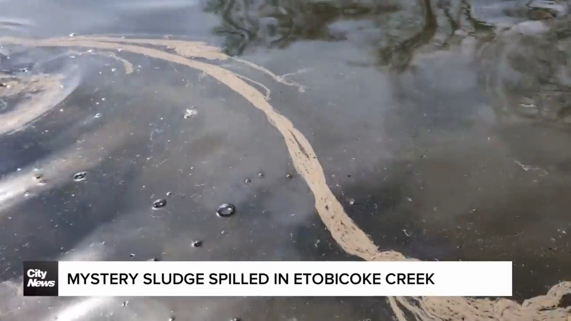 Mystery sludge spills into Etobicoke Creek