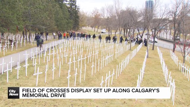 Field of Crosses display set up along Calgary's Memorial Drive
