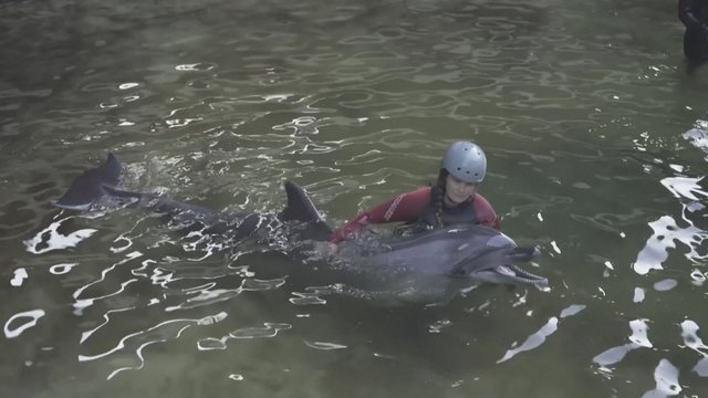 Marineland dolphin relocated to Spain has died