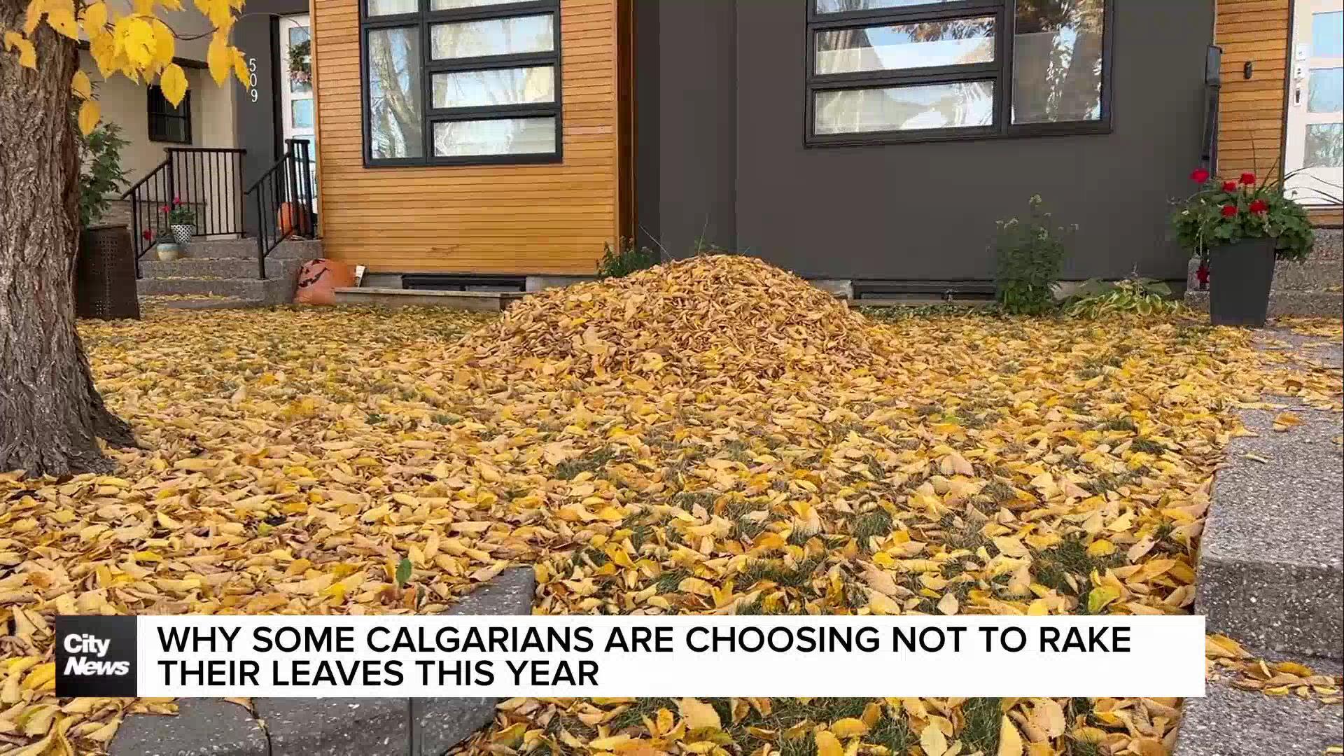 Why some Calgarians are choosing not to rake their leaves this year