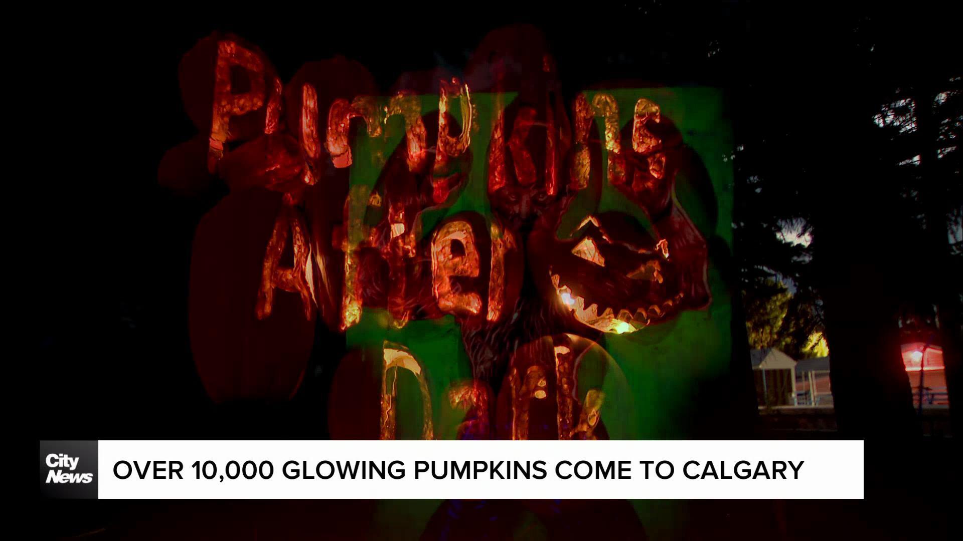 Over 10,000 glowing pumpkins come to Calgary