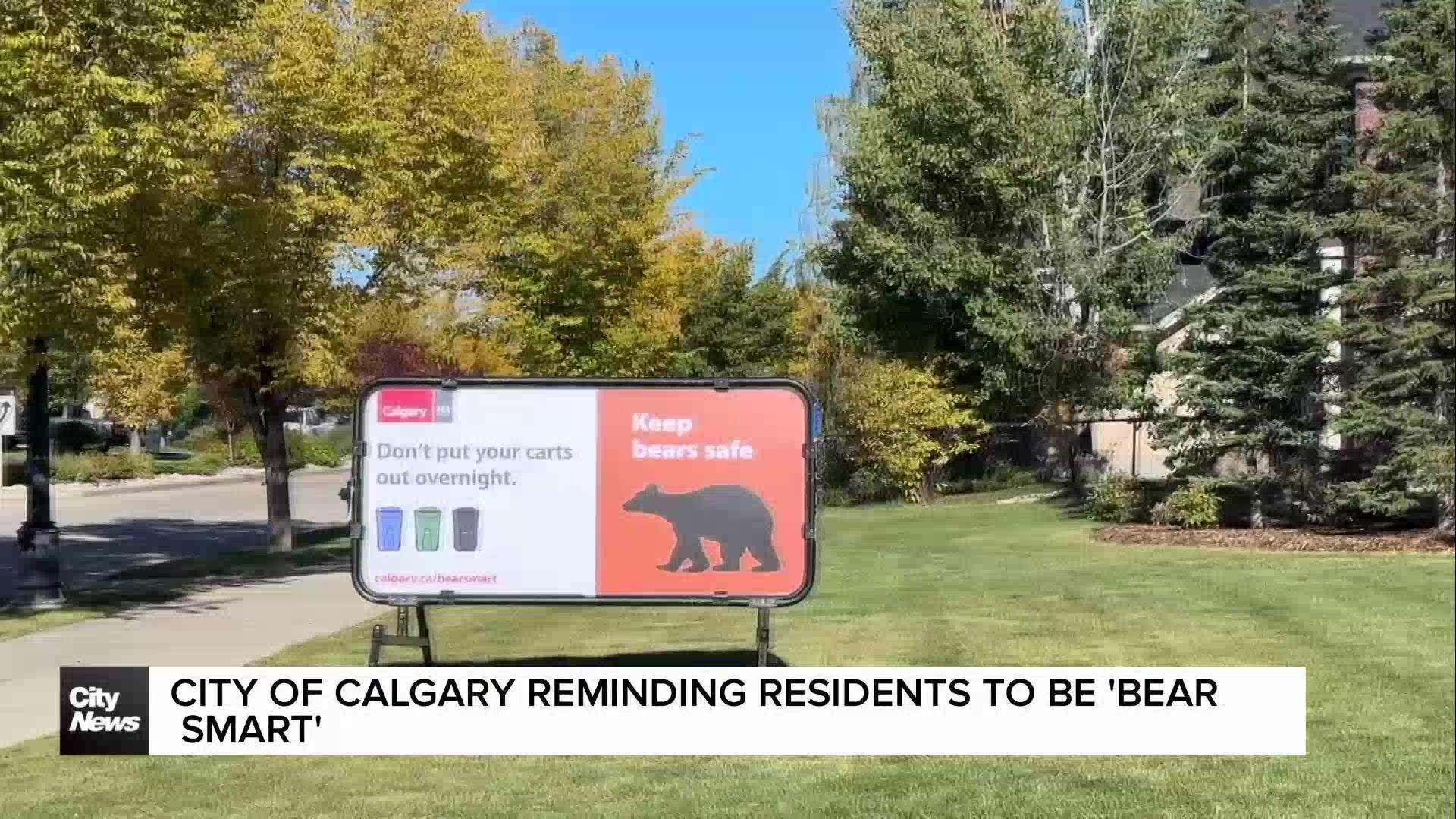 City of Calgary reminding residents to be ‘bear smart’