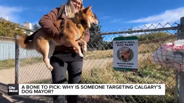 A bone to pick: Why is someone targeting Calgary’s dog mayor?
