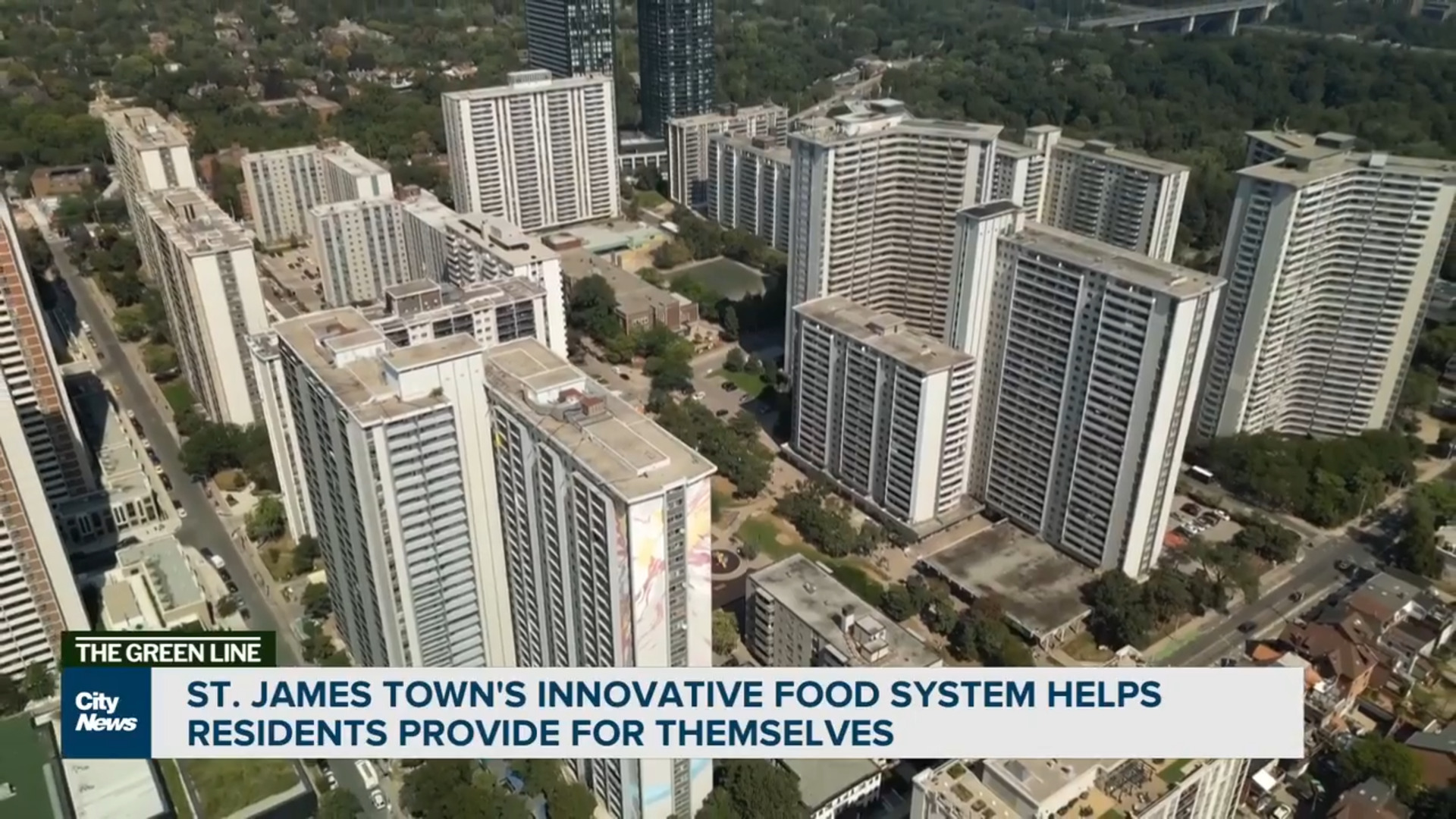 St. James Town's innovative food system helps residents provide for themselves
