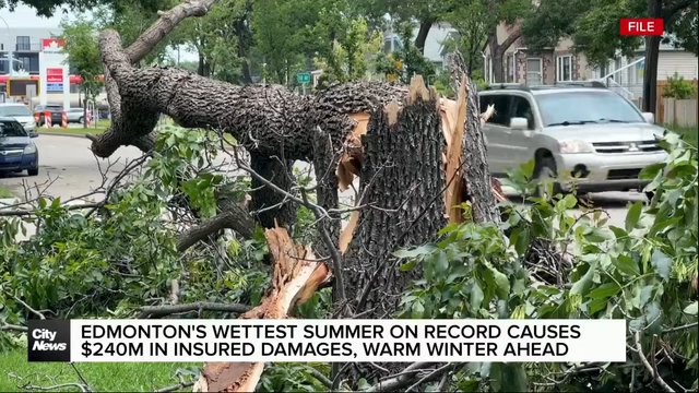 Edmonton’s wettest summer on record causes $240M in insured damages; warm winter ahead