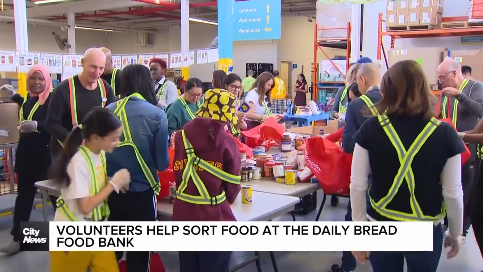 Volunteers help sort food at Daily Bread Food Bank