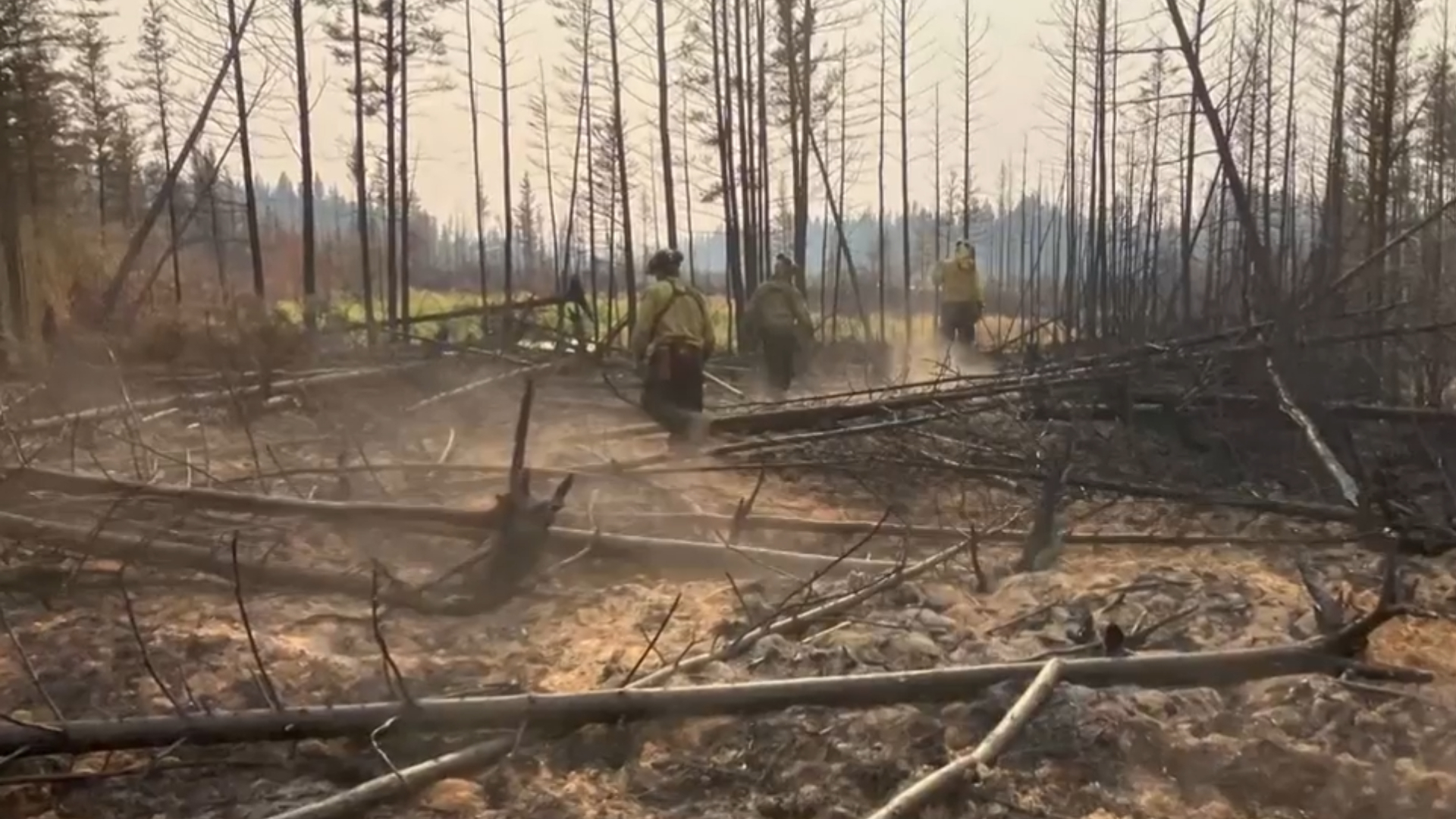 Alberta hopes AI will help predict wildfires