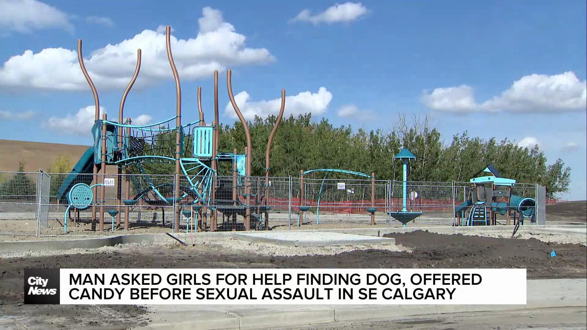 Man asked girls for help finding dog, offered candy before alleged sexual assault in SE Calgary