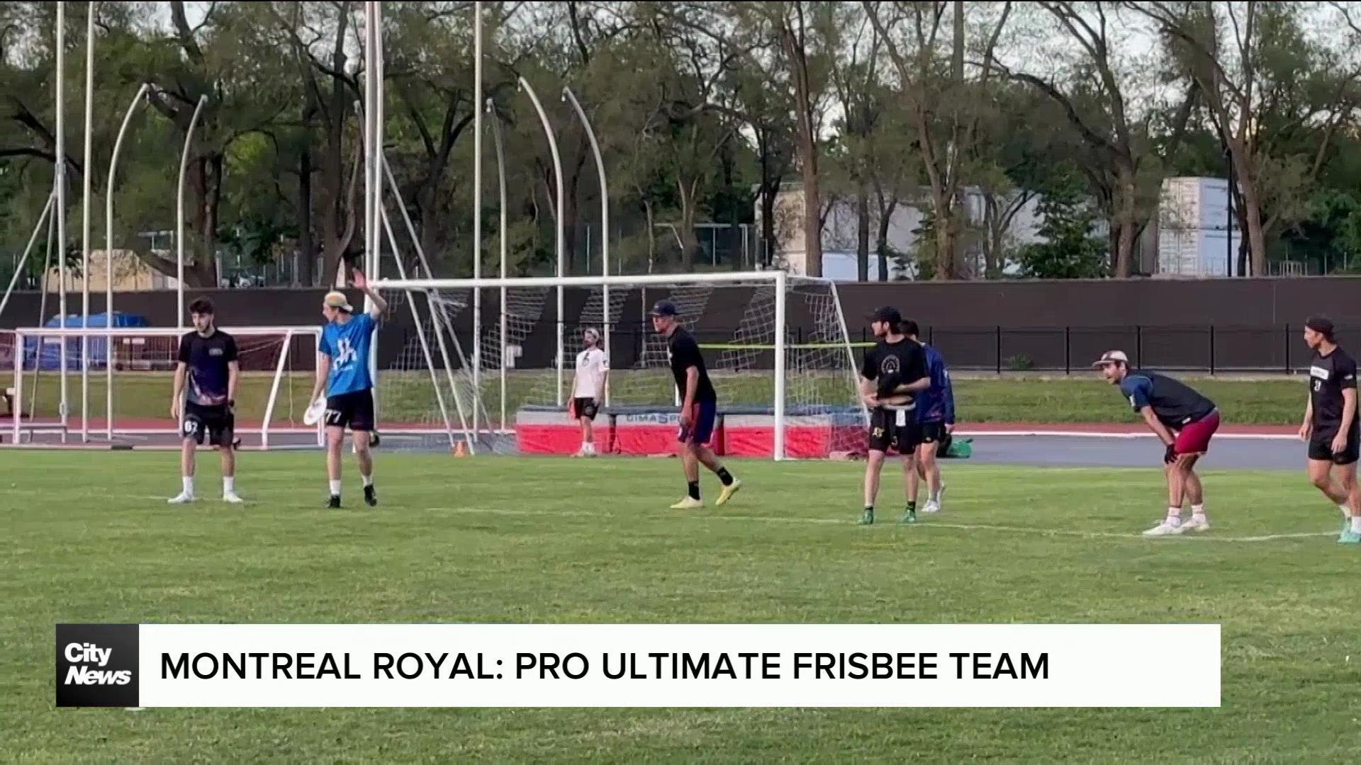 montreal-royal-the-city-s-pro-ultimate-frisbee-team