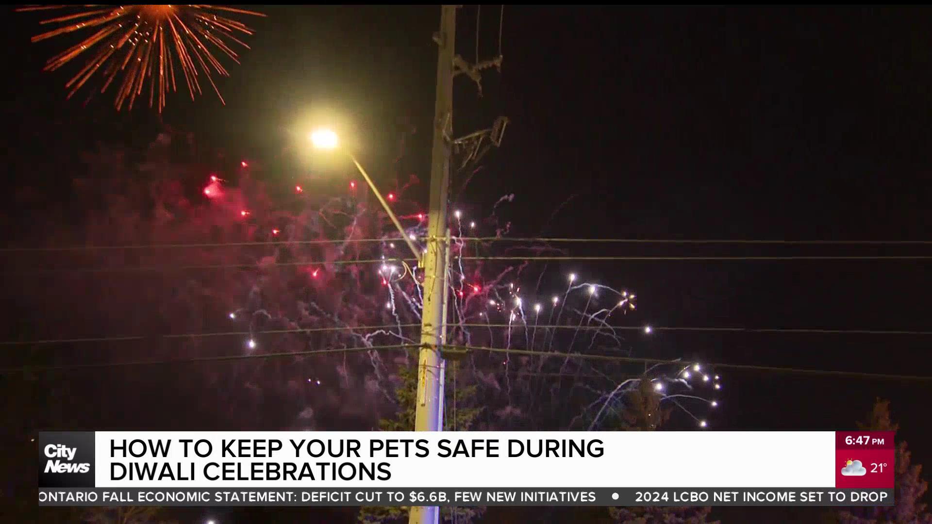 How to keep your pets safe during Diwali