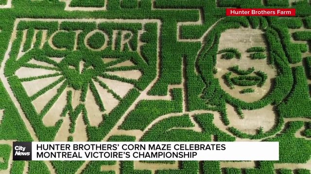Montreal Victoire victory inspires New Brunswick corn maze